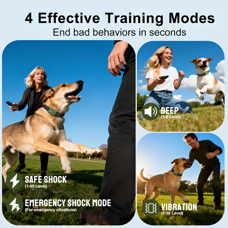 TerraGear® Training Collar